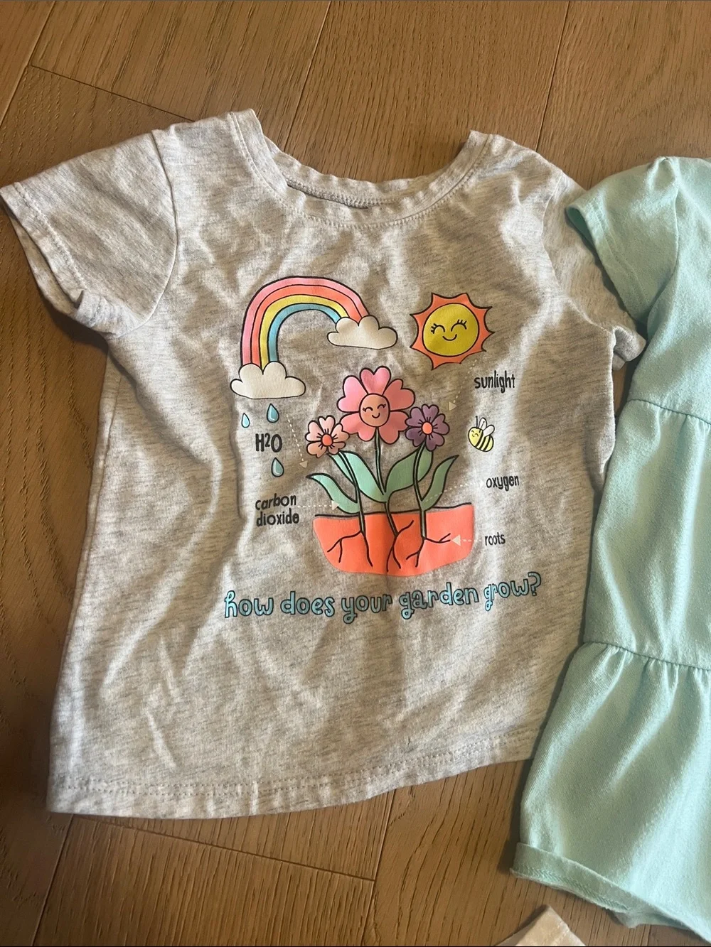 18 Month girls set